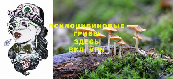 прущая мука Тайга