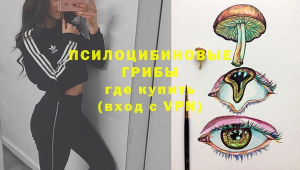 первитин Тихвин