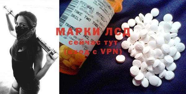 трава Тавда